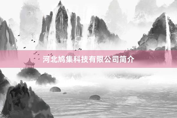 河北鸠集科技有限公司简介